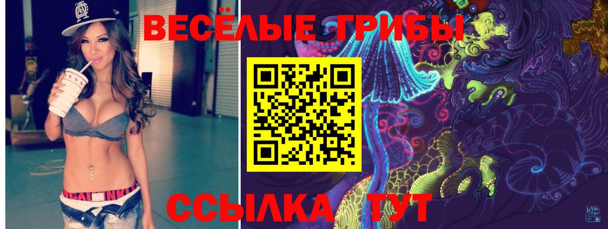 Дзержинский  Псилоцибиновые грибы мухоморы  Вход с VPN 
